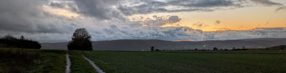 Pfarrei Sankt Franziskus Halle