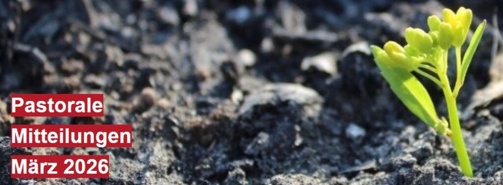 Erdboden, eine junge Pflanze bricht durch