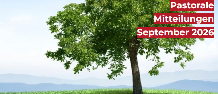 großer, grüner Baum auf einer Wiese